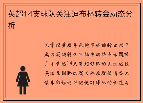 英超14支球队关注迪布林转会动态分析