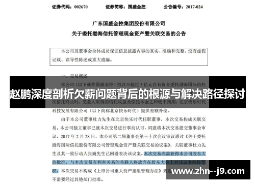 赵鹏深度剖析欠薪问题背后的根源与解决路径探讨